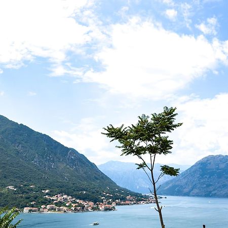 Animil 1 Appartement Kotor Buitenkant foto